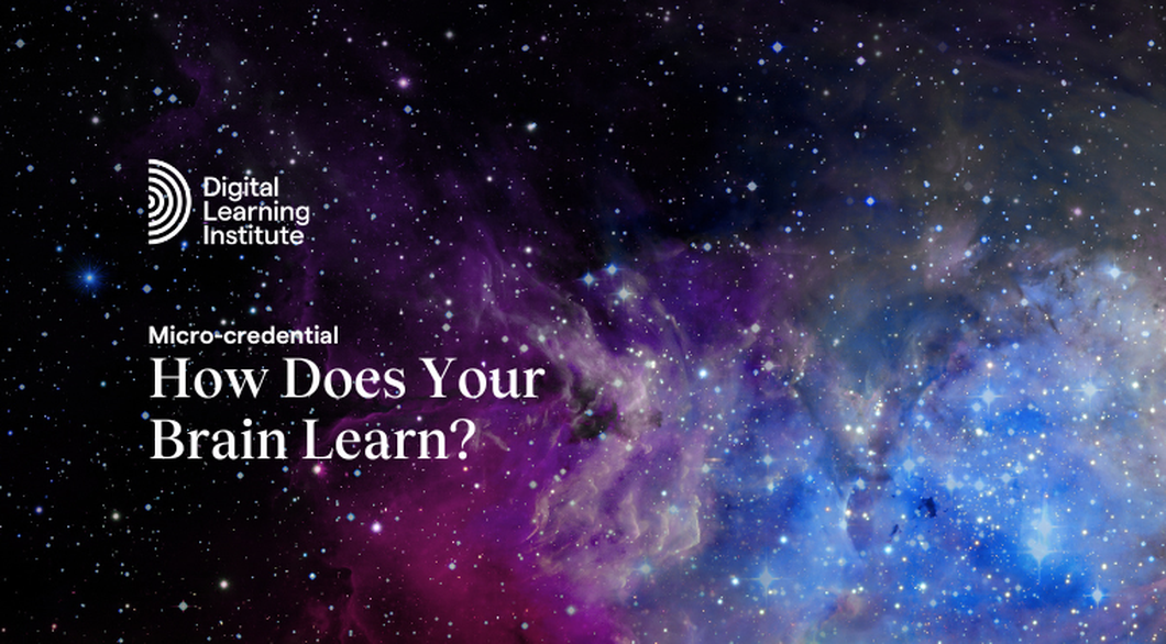 How Does Your Brain Learn